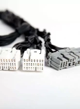 Rywire Tucked Budget Engine Harness Firewall VSS Honda K-Series | Acura RSX 2002-2004                                     - RY-K2-BASE - Image 2