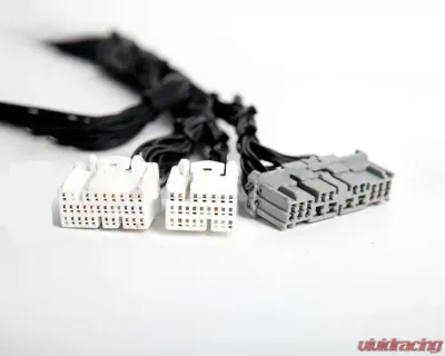 Rywire Tucked Budget Engine Harness Firewall VSS Honda K-Series | Acura RSX 2002-2004 - RY-K2-BASE