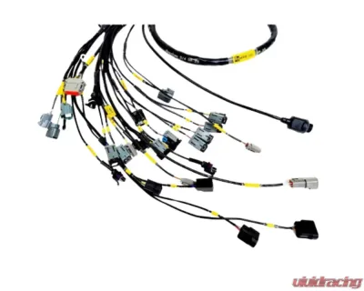 Rywire Honda K-Series (w/FuelTech 550 ECU) Engine Harness Honda Civic | CRX DX | STD 1990-1991 - RY-K2-FUELTECH-550-EF-DX-LATE