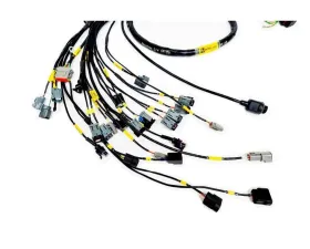 Rywire Engine Harness (w/Haltech Elite 1500+) Honda K-Series