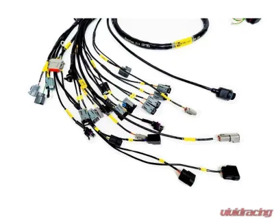 Rywire Engine Harness (w/Link G4 ECU) Honda K-Series - RY-K2-LINK-G4