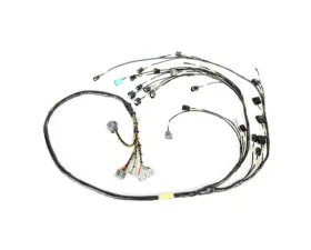 Rywire Honda K-Series Military Specification Engine Harness Acura RSX 2005-2006