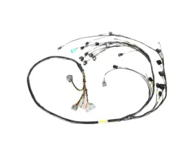 Rywire 02-04 Honda K-Series Mil-Spec Engine Harness Honda Civic | Acura Integra (EG/DC) 1992-2001