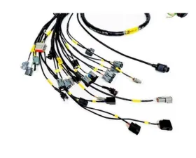 Rywire Engine Harness (w/Motec M130 ECU) Honda K-Series