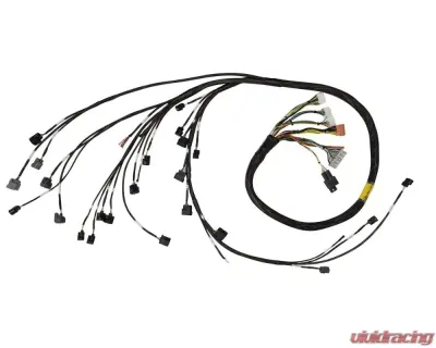 Rywire Military Specification Engine Harness Honda K-Series RWD 2002-2004 - RY-K2-RWD