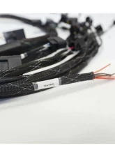 Rywire Military Specification Engine Harness Honda K-Series RWD 2002-2004                                     - RY-K2-RWD - Image 3