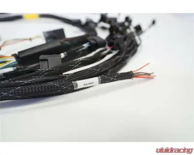 Rywire Military Specification Engine Harness Honda K-Series RWD 2002-2004 - RY-K2-RWD