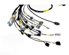 Rywire Engine Harness (w/Syvecs S7 ECU) Honda K-Series