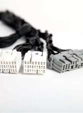 Rywire Tucked Engine Harness Honda K24 2002-2004                                     - RY-K24-BASE - Image 2