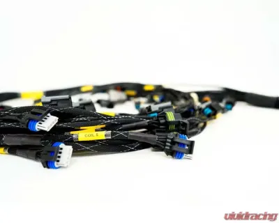 Rywire Engine Harness with Bosch MAP Option (Req PDM/Fuse Box/Mating Connector) GM LS3 V8 E38 ECU - RY-LS3-E38