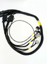 Rywire Engine Harness with Bosch MAP Option (Req PDM/Fuse Box/Mating Connector) GM LS3 V8 E38 ECU                                     - RY-LS3-E38 - Image 3