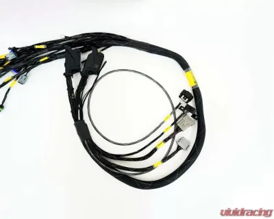 Rywire Engine Harness with Bosch MAP Option (Req PDM/Fuse Box/Mating Connector) GM LS3 V8 E38 ECU - RY-LS3-E38