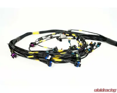 Rywire Engine Harness with Bosch MAP Option (Req PDM/Fuse Box/Mating Connector) GM LS3 V8 E38 ECU - RY-LS3-E38