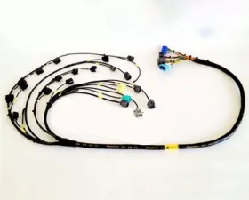 Rywire Military Specification Engine Harness (Early) with Quick Disconnect Honda S2000 AP1 | AP2