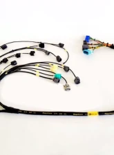 Rywire Military Specification Engine Harness with OEM Coils (Early) Honda S2000 AP1 | AP2                                     - RY-S2K-MILSPEC - Image 2
