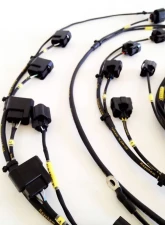 Rywire Military Specification Engine Harness with OEM Coils (Early) Honda S2000 AP1 | AP2                                     - RY-S2K-MILSPEC - Image 3