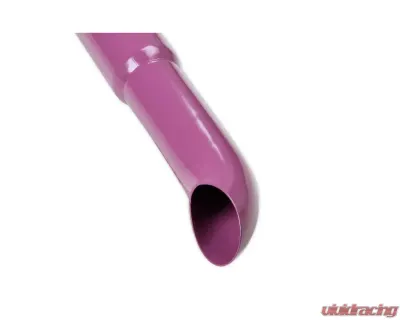 Flowtech Purple Hornies Glasspack - 50231FLT