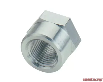Fragola -16AN Female Weld Bung - 487116