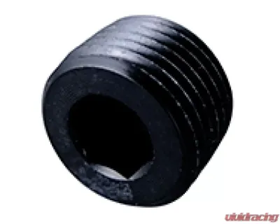Fragola 1/8 NPT Pipe Plug- Internal Black - 493202-BL