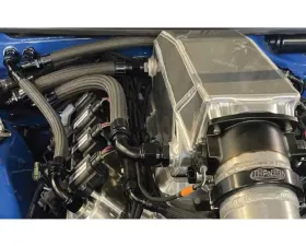 Fragola Race-Rite Pro PTFE Hose 10 Feet Black