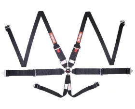 Racequip Black SFI 6 Point Camlock Pull-Up Lap Head and Neck Restraint Seat Belt