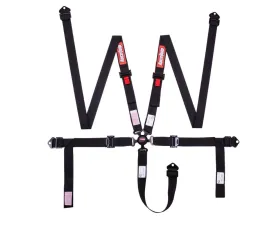 Racequip Black SFI 16.1 5 Point 2inch Auto Racing Camlock Pull-Down Lap Harness Set | Seat Belt Set