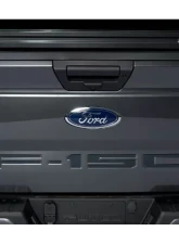 Putco Ford Lettering Cut Letters/Stainless Steel Tailgate Emblems Ford F-150 2021                                     - 55559FD - Image 13