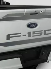 Putco Ford Lettering Cut Letters/Stainless Steel Tailgate Emblems Ford F-150 2021                                     - 55559FD - Image 7