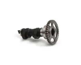 Hot Cams Racing Camshaft Stage 1 Honda CRF450R | CRF450RX | CRF450R W.E 2017-2020