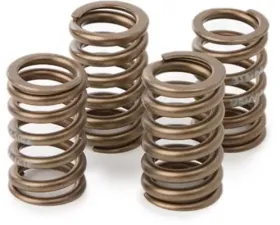Hot Cams Valve Spring Kit Honda CRF450R | CRF250R 2009 - 2017