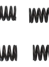 Hot Cams Valve Spring Kit Suzuki RM-Z250 2007-2014                                     - VSK2002 - Image 4