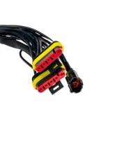 Morimoto European Tail Lights Wiring Adapters Ferrari F430                                     - LF356-H-EU - Image 7