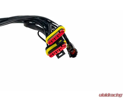 Morimoto European Tail Lights Wiring Adapters Ferrari F430 - LF356-H-EU
