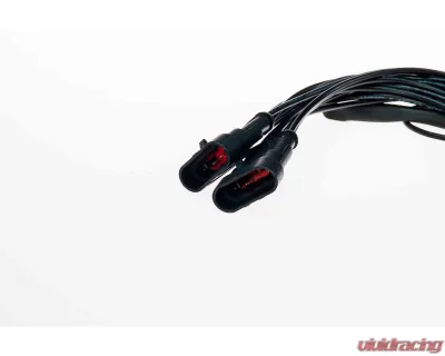 Morimoto European Tail Lights Wiring Adapters Ferrari F430 - LF356-H-EU