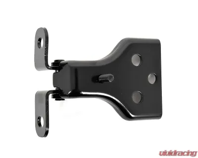 ACP Passenger Side Lower Door Hinge - FP-BD005R