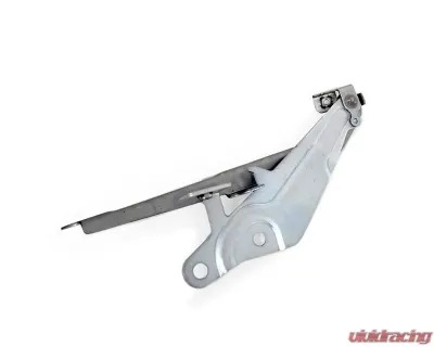 ACP Hood Hinge Driver Side Steel Galvanized for Ford Mustang 2015-2019 OEM FR3Z-16797-C - FM-BH045L