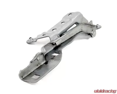 ACP Hood Hinge Assembly Driver Side Ford F-150 2015-2020 - FP-BH015L