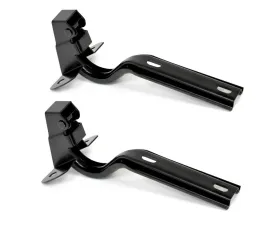 ACP Pair Hood Hinge