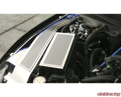 American Car Craft Polished Stainless Fuse Box Cover w/ Carbon Fiber Top Plate Ford Mustang 2015-2020 - ACC-273103