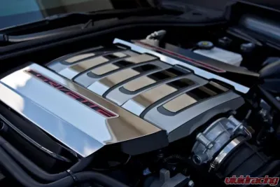 American Car Craft 2Pc Stainless Polished Fuel Rail Cover Factory Overlays Chevrolet Corvette Stingray C7 | Z51 2014-2019 - ACC-053003