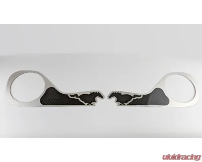 American Car Craft 2Pc Brushed Finish Pony Style Carbon Fiber Door Guards Ford Mustang 2015-2020 - ACC-271075