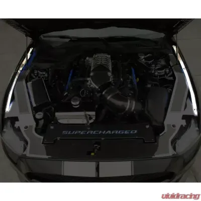 American Car Craft Fender Caps 2pc Polished Stainless Ford Mustang 2015-2023 - ACC-273110-RDL