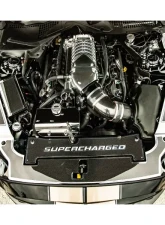 American Car Craft Fender Caps 2pc Brushed Stainless Ford Mustang 2015-2023                                     - ACC-273111-BLUL - Image 2