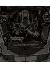 American Car Craft Fender Caps 2pc Brushed Stainless Ford Mustang 2015-2023                                     - ACC-273111 - Image 2