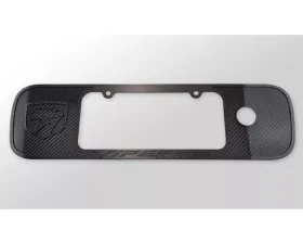 American Car Craft Carbon Fiber with Black Brushed Trim Tag Back Frame Dodge Viper RT-10 Gen 2 1996-2002