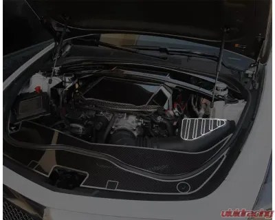 American Car Craft Carbon Fiber Air Box Top Plate Cadillac Cts-V 2016-2019 - ACC-123105