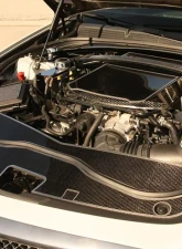 American Car Craft Carbon Fiber Front Header Plate w/ Brushed Trim Cadillac Cts-V 2016-2019                                     - ACC-123110 - Image 3