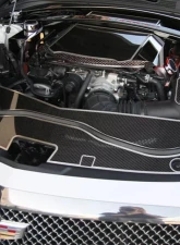 American Car Craft Carbon Fiber Front Header Plate w/ Brushed Trim Cadillac Cts-V 2016-2019                                     - ACC-123110 - Image 2