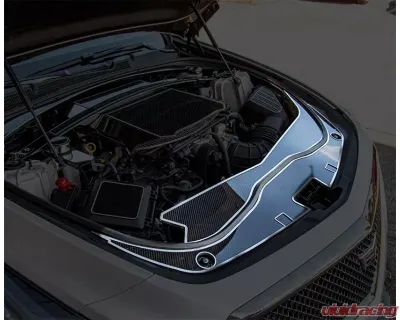 American Car Craft Carbon Fiber Front Header Plate w/ Brushed Trim Cadillac Cts-V 2016-2019 - ACC-123110