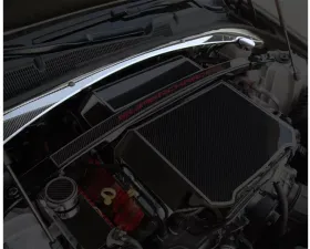 American Car Craft Wiper Cowl | Carbon Fiber Cadillac Cts-V 2016-2019